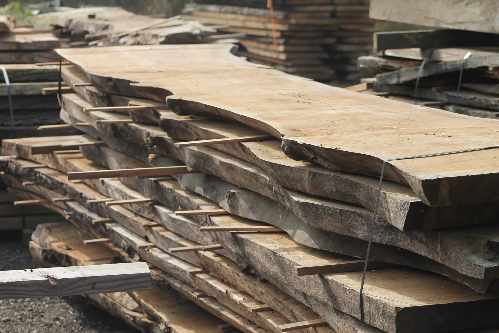 Schaaldelen met natuurlijke boomranden bij Hospes Hout